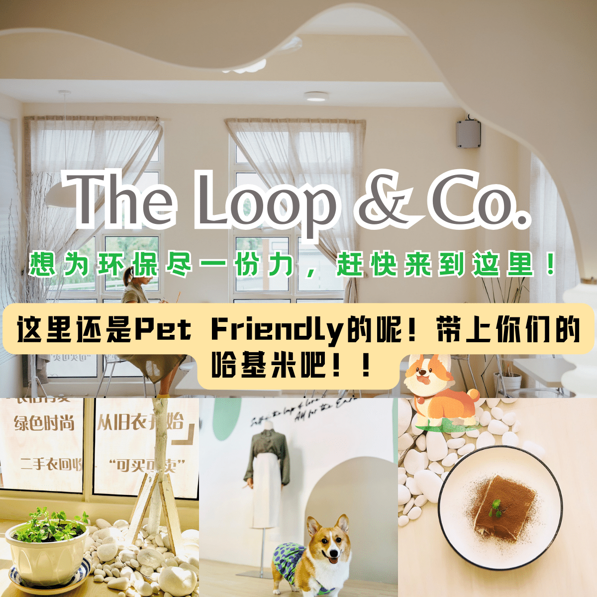 the loop